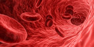 Dr Kleanthous Angeliki - Anaemia